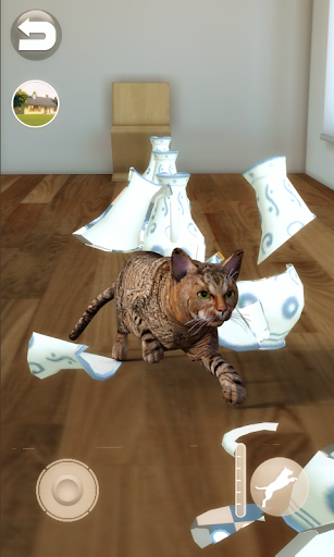 Talking Somali Cat - Gameplay image of android game