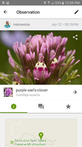 iNaturalist - Image screenshot of android app