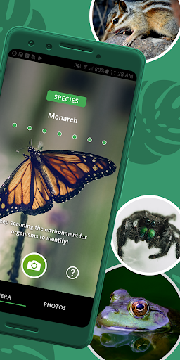Seek by iNaturalist – شناسایی گیاهان و جانوران - عکس برنامه موبایلی اندروید