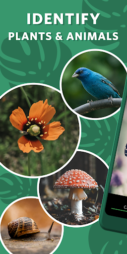 Seek by iNaturalist - Image screenshot of android app