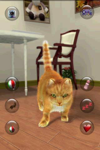 Talking Lovely Cat - Gameplay image of android game