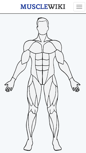 MuscleWiki Fitness - عکس برنامه موبایلی اندروید
