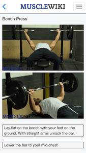 MuscleWiki Fitness - عکس برنامه موبایلی اندروید