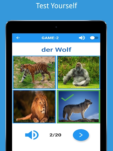 German Vocabulary Beginners - Image screenshot of android app