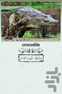 Animals sound for kids 3 languages - Image screenshot of android app