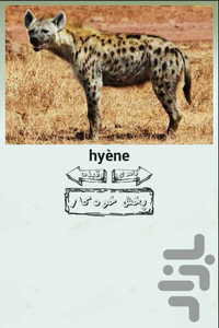 Animals sound for kids 3 languages - Image screenshot of android app