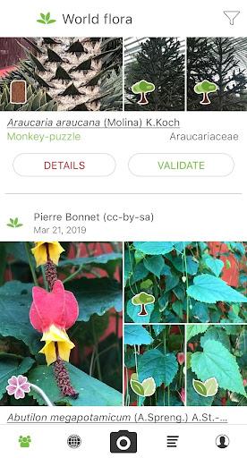 PlantNet Plant Identification – گیاه‌شناس - Image screenshot of android app