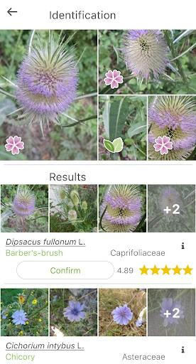 PlantNet Plant Identification - Image screenshot of android app