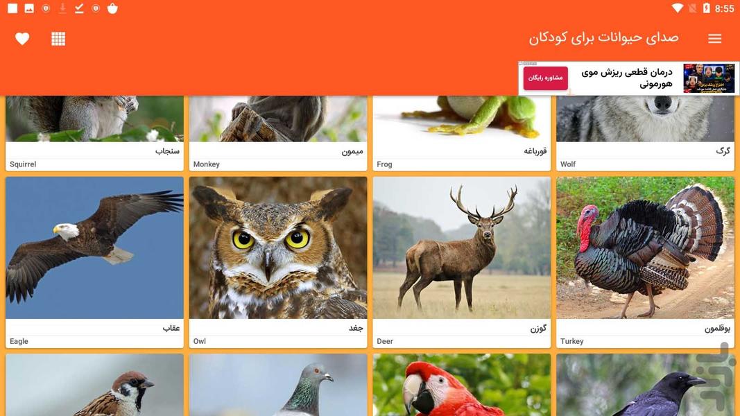 حیوان شناسی - Image screenshot of android app