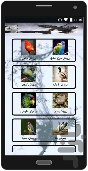 پرورش پرندگان خانگی(اصلی) - عکس برنامه موبایلی اندروید