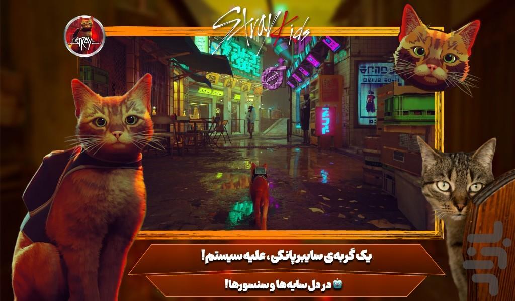 بازی گربه - Gameplay image of android game