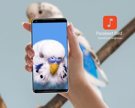 Parakeet Bird Sounds - عکس برنامه موبایلی اندروید