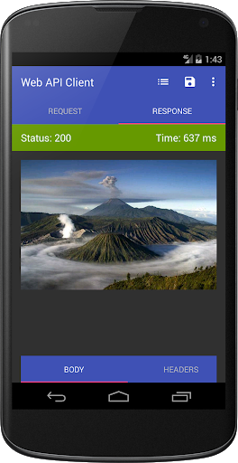 Web API Client - Image screenshot of android app