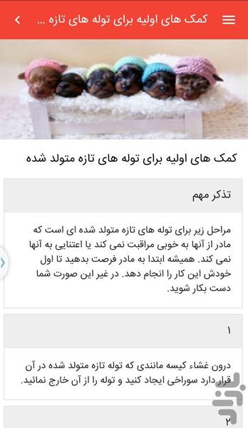 کمک های اولیه حیوانات خانگی(اینتل) - عکس برنامه موبایلی اندروید