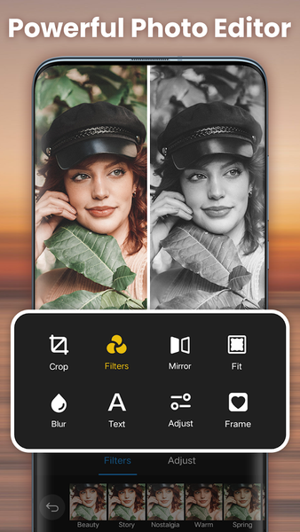 Photo Gallery - Album Vault - Image screenshot of android app