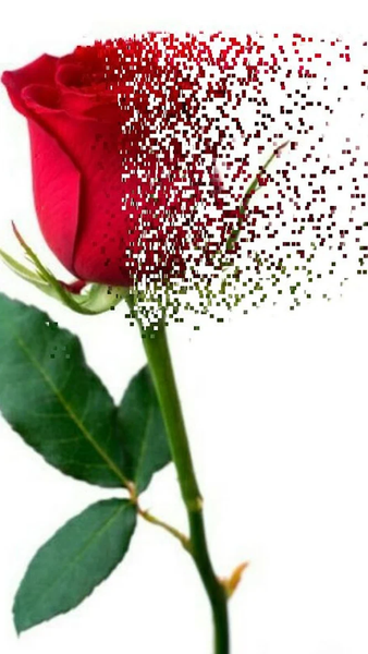 Pixel dispersion effect-Editor - Image screenshot of android app