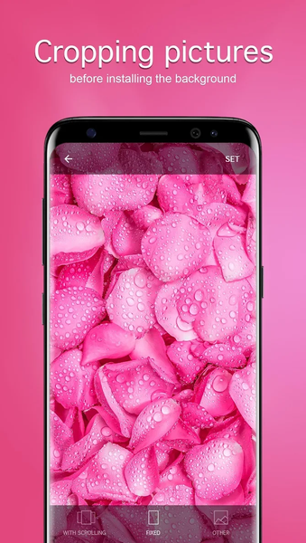 Pink Wallpapers ۴K - عکس برنامه موبایلی اندروید