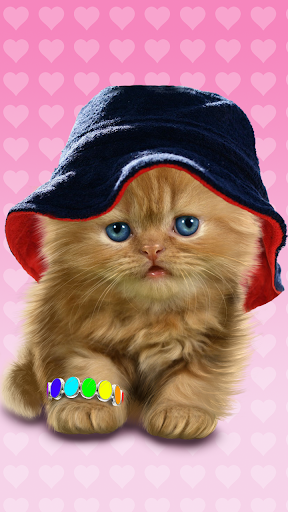 Baby Cat, Cute Live Wallpaper - عکس برنامه موبایلی اندروید