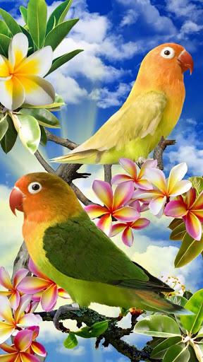 Birds Live Wallpaper Free - Image screenshot of android app