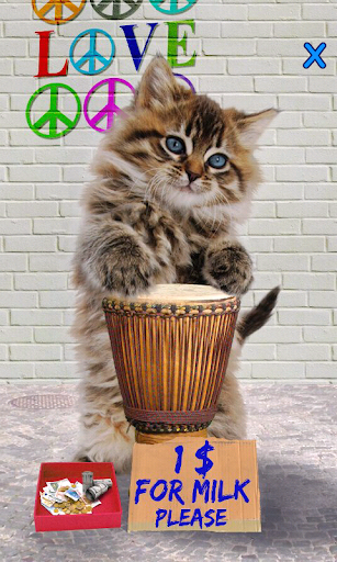 Talking Cat. Dances and Purrs. - Image screenshot of android app