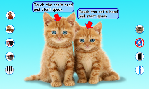 Talking Cats - عکس برنامه موبایلی اندروید