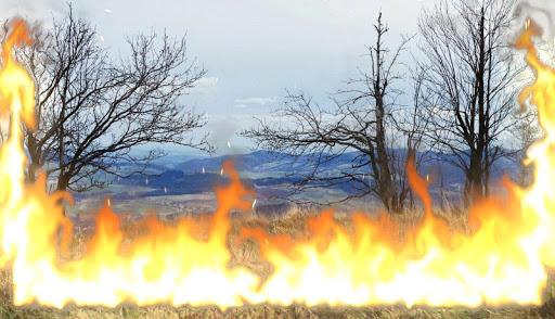 Magic Flames Free - fire live wallpaper simulation - عکس برنامه موبایلی اندروید