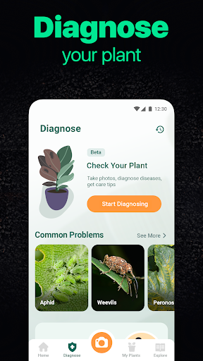 Plantum - Plant Identifier - Image screenshot of android app