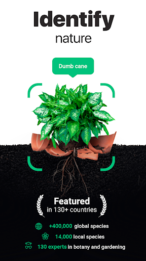 Plantum - Plant Identifier - Image screenshot of android app