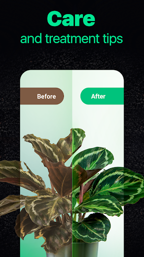 Plantum - Plant Identifier - عکس برنامه موبایلی اندروید