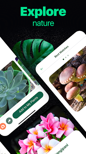 Plantum - Plant Identifier - Image screenshot of android app