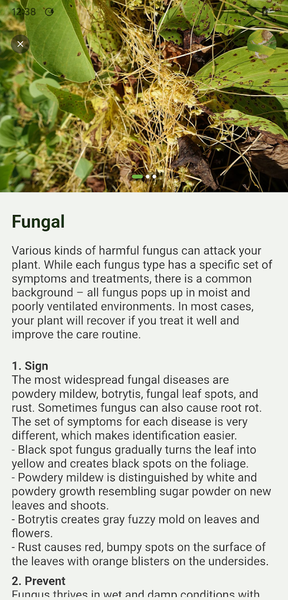 Plant Identify Scanner - Image screenshot of android app