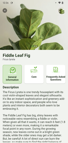 Plant Identify Scanner - Image screenshot of android app