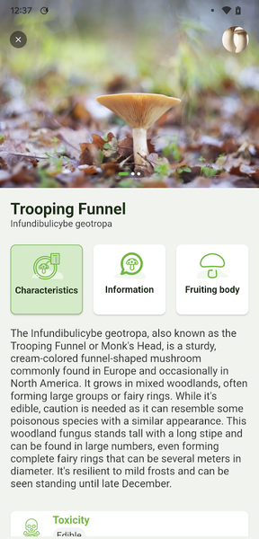 Plant Identify Scanner - Image screenshot of android app