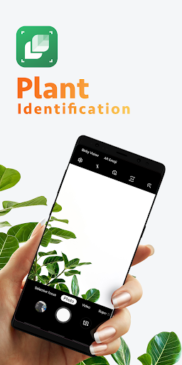 LeafSnap Plant Identification - Image screenshot of android app