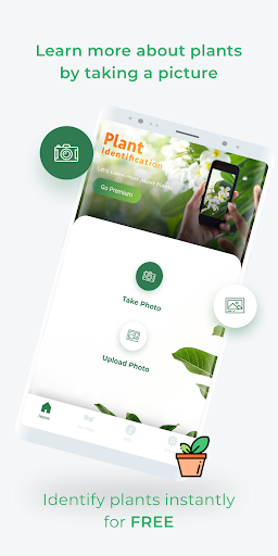 LeafSnap Plant Identification - Image screenshot of android app