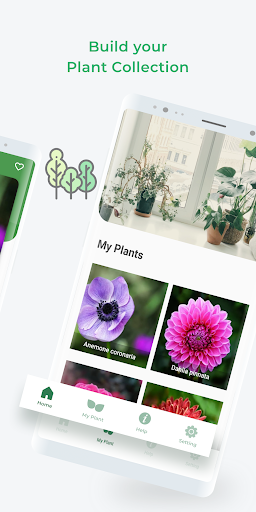 LeafSnap Plant Identification - عکس برنامه موبایلی اندروید