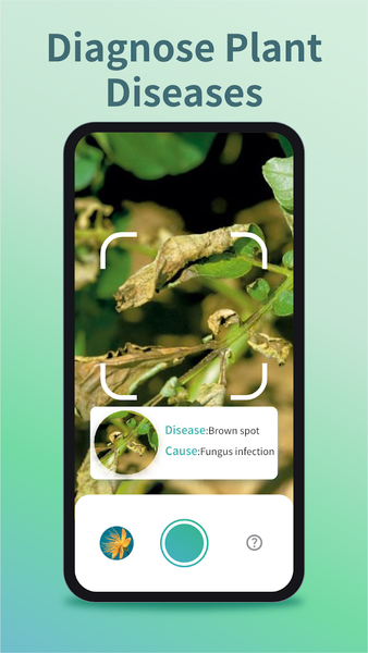 Plant Identifier & Plant Care - عکس برنامه موبایلی اندروید