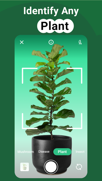 PlantGro: AI Plant Identifier - Image screenshot of android app