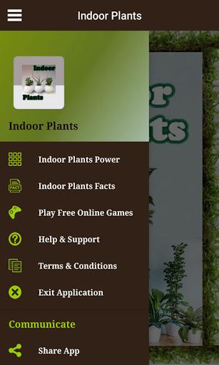 Indoor Plants - Image screenshot of android app