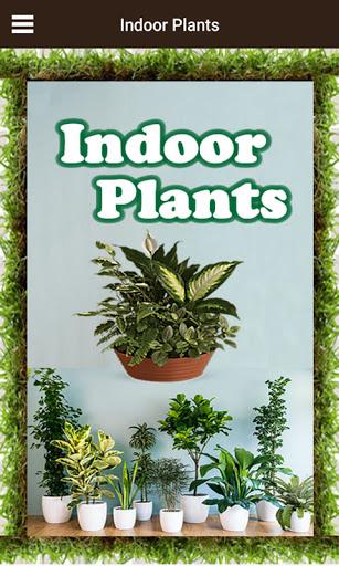 Indoor Plants - Image screenshot of android app