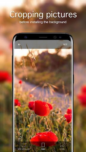 Poppy Wallpapers ۴K - عکس برنامه موبایلی اندروید
