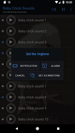 Baby chick sounds - Image screenshot of android app