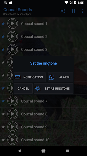 Coucal Sounds - عکس برنامه موبایلی اندروید