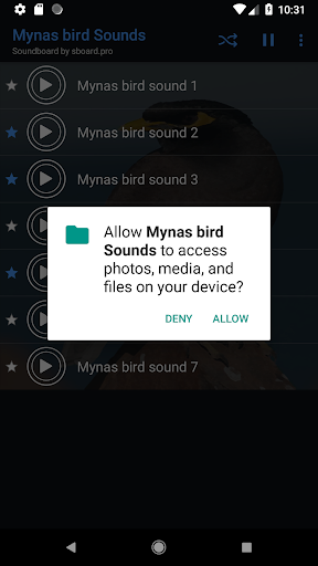 Mynas bird Sounds - Image screenshot of android app