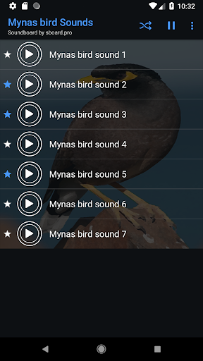 Mynas bird Sounds - عکس برنامه موبایلی اندروید