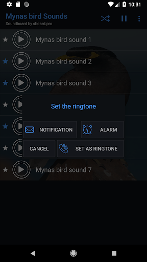 Mynas bird Sounds - عکس برنامه موبایلی اندروید
