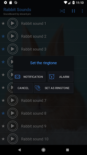 Rabbit sounds - عکس برنامه موبایلی اندروید