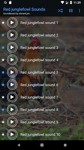 Red junglefowl Sounds & Calls - عکس برنامه موبایلی اندروید