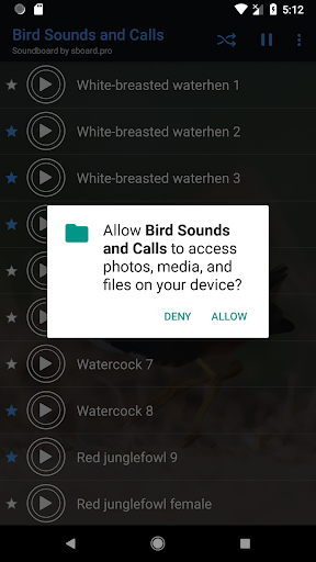 Red junglefowl and Bird sounds - Image screenshot of android app