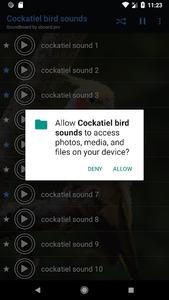 Cockatiel Sounds ~ Sboard.pro - عکس برنامه موبایلی اندروید